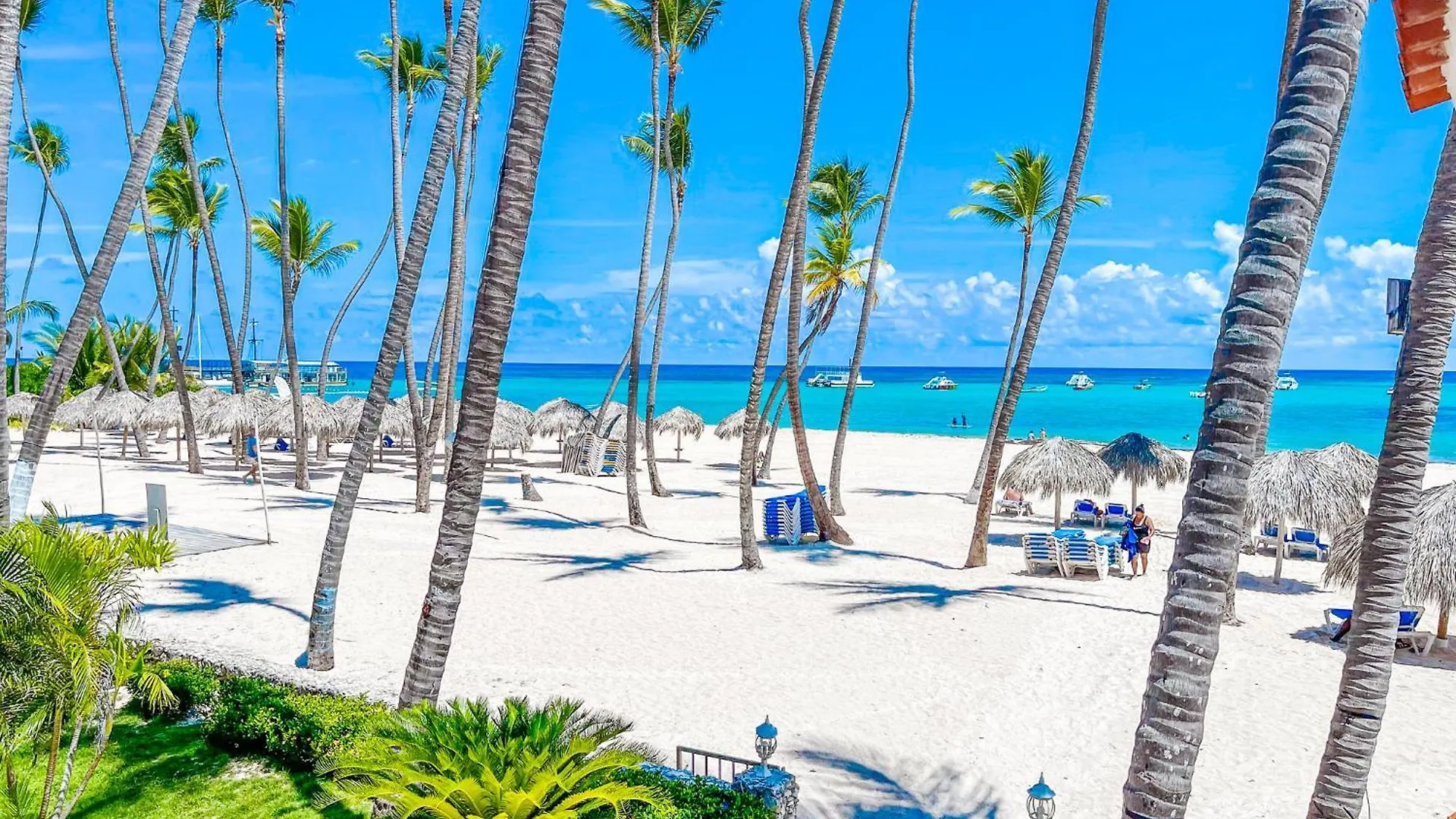 Caribbean Mojito Beach Hotel Wifi Villas And Apartments Long Term Los Corales Beach Club & Spa Punta Cana